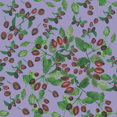 On a lilac background are watercolor drawings, red rosehips and green leaves. Seamless ornamentの写真素材