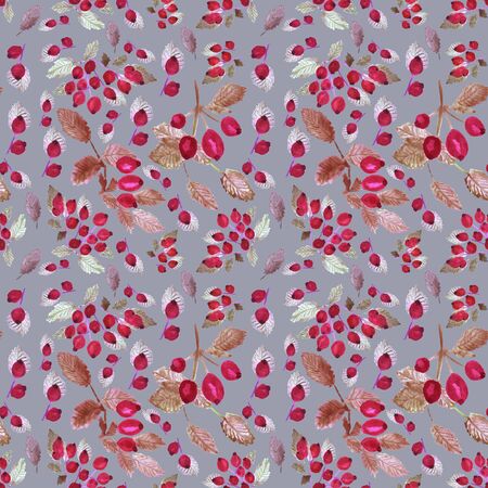 On a bright pale gray background there is a watercolor pattern of red rose hips with branches and white, pink leaves. Seamless ornamentの写真素材
