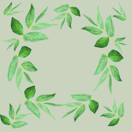 Frame made of green watercolor leaves on light backgroundの写真素材