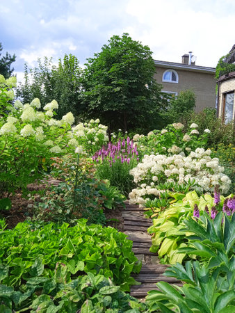 Flowerbed with hydrangea and other plants in the gardenの写真素材