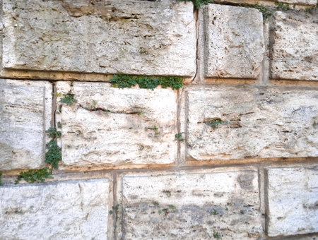 Background of stone wall texture. Abstract background of stone wall texture.の写真素材