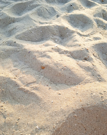 sand background with small shells and sand dunes on the beach.の写真素材