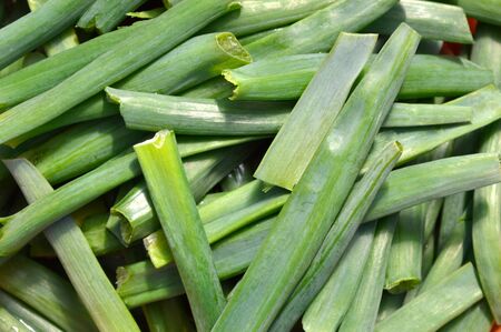 First fresh green onions chopped into piecesの写真素材