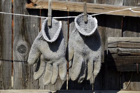 Pair of dirty garden gloves drying and hanging on the rope with clothespins on a wooden fence...