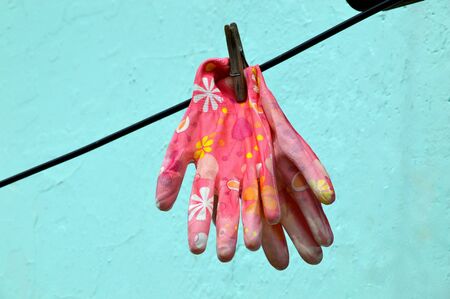 Pair of dirty pink garden gloves with floral pattern drying and hanging on the rope with clothespin on blue wall backgroundの写真素材