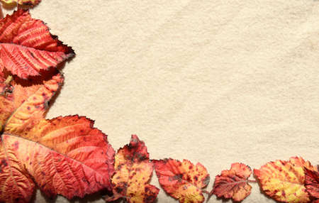 Bright frame made of autumnal red and orange tree leaves on a beige fabric background with folds under sunlight. Nature backgroundの写真素材