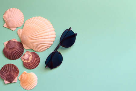 Summer composition with sunglasses and Japanese sea scallop seashells on a blue background. copy spaceの写真素材