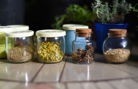 Jars with seeds of flowers and different plants on a tableの写真素材
