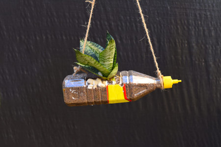 Vase made of plastic ketchup bottle with potted plant