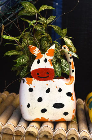 Vase made of plastic bottle with potted plantの写真素材