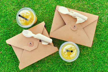 Take away food with  paper boxes and cups of iced tea on green grass