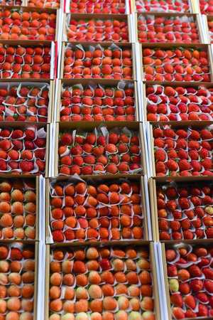 Many fresh natural strawberry in vietnamese night market in Da Latの写真素材