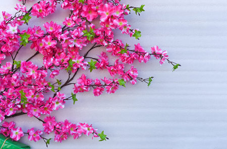 Pink flowers decoration for Tet Lunar New Yearの写真素材