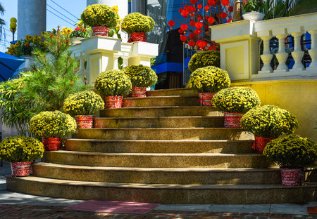 decoration and chrysanthemums flowers for Tet Lunar New Year