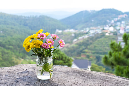 Bouquet of chrysanthemums in a vase under sunset against the backdrop of the mountains Da Lat Vietnamの写真素材