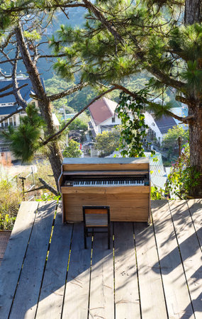 Piano under a pine tree in under sun beams in the city of Da Lat in mountainsの写真素材