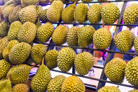 Many durian fruits on a stall in the Kuala Lumpur marketの写真素材