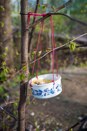 Seeds in bird feeder hunging on a tree in forest