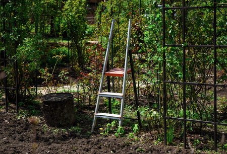 Garden scene with a metal step ladder and tree stump among green plants and soil beds, ideal for gardening or landscaping themes, no people visible.の写真素材