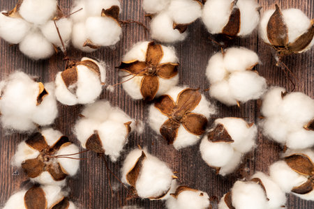 Natural artificial cotton buds scattered on a rustic wooden surface. Perfect for handmade decorations, eco-friendly crafts, and autumn-inspired designs with a warm, cozy vibeの写真素材