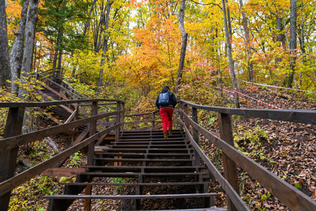 Woman 50 years old solo traveler walking up wooden stairs in autumn forest traveling alone exploring...