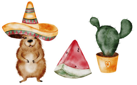 Capybara watercolor. A funny cartoon animal in a Mexican sombrero hat with a watermelon and cactus. Cute water pig hand drawing on isolated white background. Clip art of a friendly guinea pig. Idealの写真素材