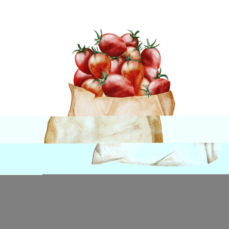 Tomato watercolor. Vegetables in a bag watercolor. Hand drawn ripe vegetable on isolated white background. Clip art food. Ideal for farm shop, posters and labels. Organic vegetablesの写真素材