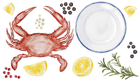 Crab watercolor set. Hand drawn sea animal, plate, lemon and spices on isolated white background. Clip art sea food. Ideal for restaurant menus, packaging, cards and logo of organic ocean productの写真素材