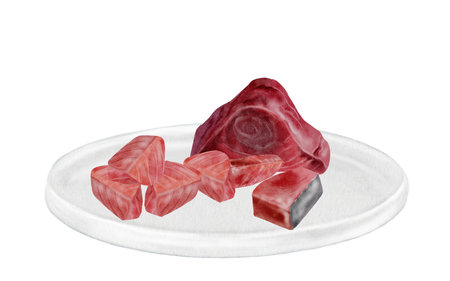 Tuna fillet on a plate watercolor. Hand-drawn ocean fish on a white background. Food clip art. Perfect for restaurant menu recipe books and Japanese cuisine.の写真素材