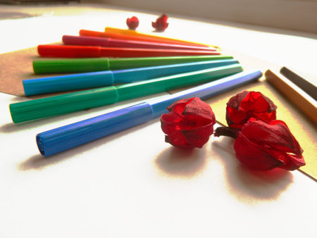 Copyspace blank sheets of craft paper covered with multiple colorful felt pen markers and dried flowersの写真素材
