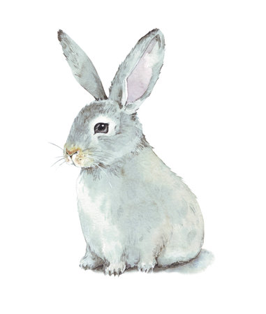 Hand drawn watercolor illustration about cute bunny. Card for Happy Easter.の写真素材