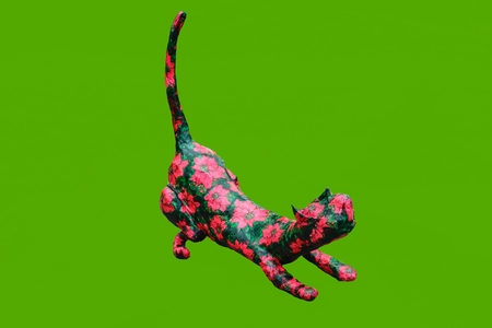 Cat handmade colored isolatedの写真素材