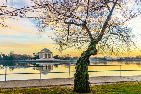 Washington, DC at the Tidal Basin and Jefferson Memorial before springのeditorial素材