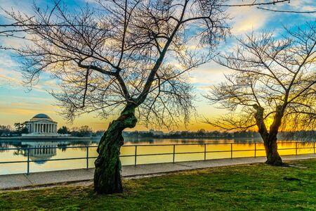 Washington, DC at the Tidal Basin and Jefferson Memorial before springのeditorial素材