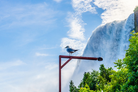 Water rushing over Niagara Fallsの写真素材