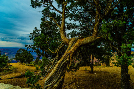 Grand Canyon National Park Sunset Desert View Watchtower, Arizona, USAの写真素材