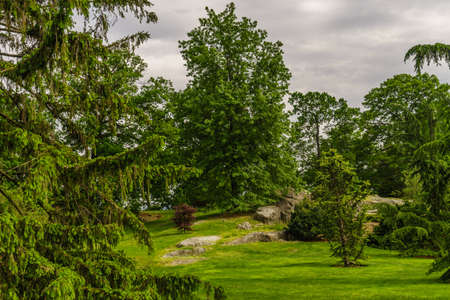 New York Garden, Spring Grassの写真素材