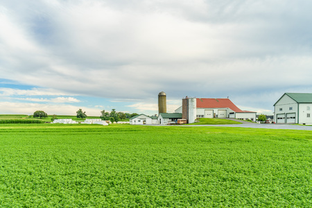 Amish country farm barn field agriculture in Lancaster, PAの写真素材