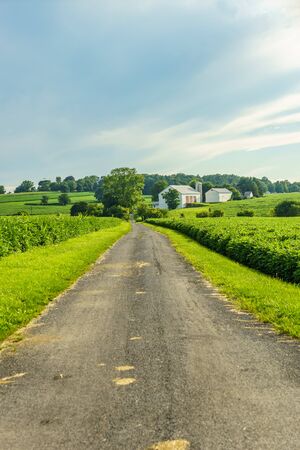 Amish country farm barn field agriculture in Lancaster, PAの写真素材