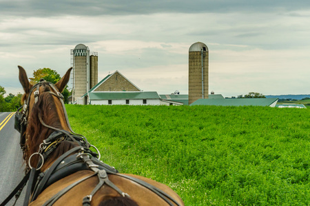 Amish country farm field agriculture and hoses in Lancaster, PAの写真素材
