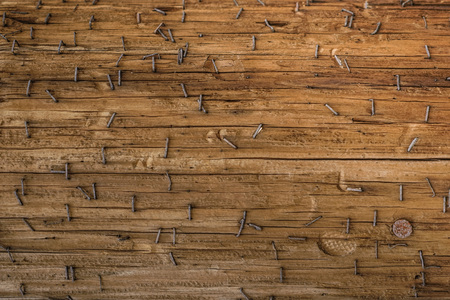 ld wooden structure surface with rusty paper clips staples and a nail head USの写真素材