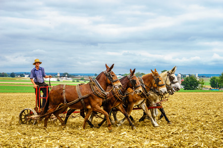 Lancaster, Pennsylvania - October 4, 2016 Amish country horse farm barn field agriculture in Lancaster PAのeditorial素材