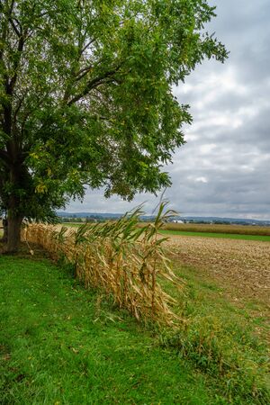 Amish country farm barn field agriculture in Lancaster, PAの写真素材
