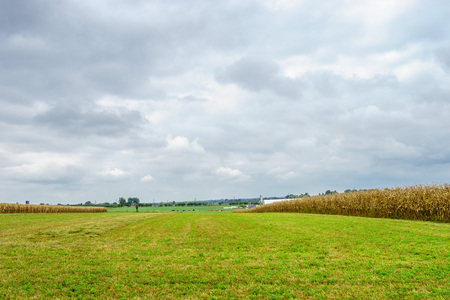 Amish country farm barn field agriculture in Lancaster, PAの写真素材