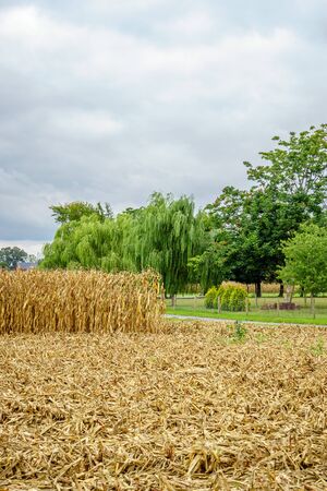 Amish country farm barn field agriculture in Lancaster, PAの写真素材