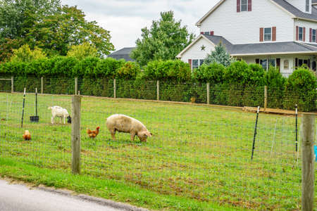 Amish country farm barn field agriculture in Lancaster, PAの写真素材