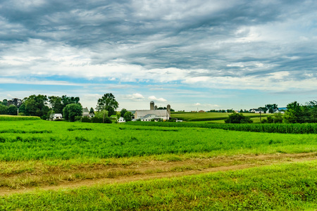 Amish country farm barn field agriculture and grazing cows in Lancaster, PAの写真素材