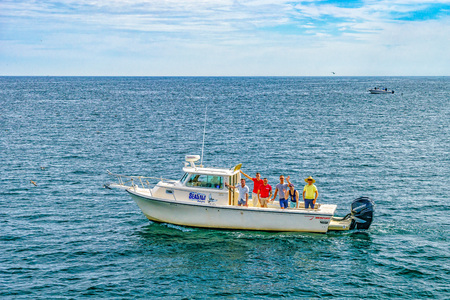 Provincetown, Cape Cod, Massachusetts, US - August 15, 2017 Boat and his crew looking for a whaleのeditorial素材