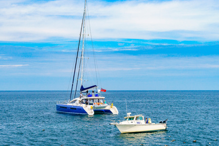 Provincetown, Cape Cod, Massachusetts, US - August 15, 2017 Catamaran, boat and their crew looking for a whaleのeditorial素材