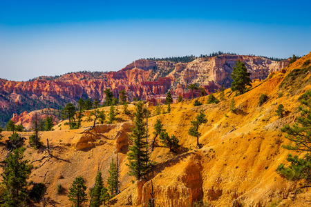 The Bryce Canyon National Park Utah United States.の写真素材